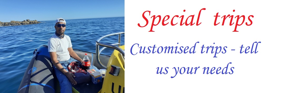 Guest having a snack while on a personalized boat trip in Cape Town